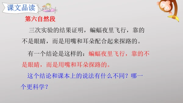 6 夜间飞行的秘密   课件