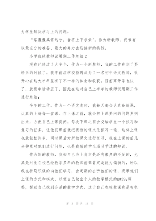 小学班级教师试用期工作总结.docx