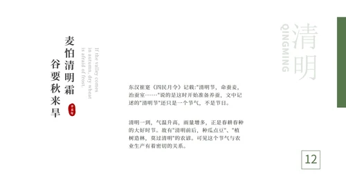绿色大气清新绿植清明节主题PPT模板