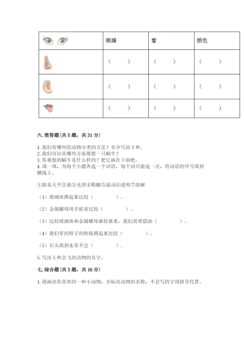 教科版一年级下册科学期末测试卷附答案（轻巧夺冠）.docx
