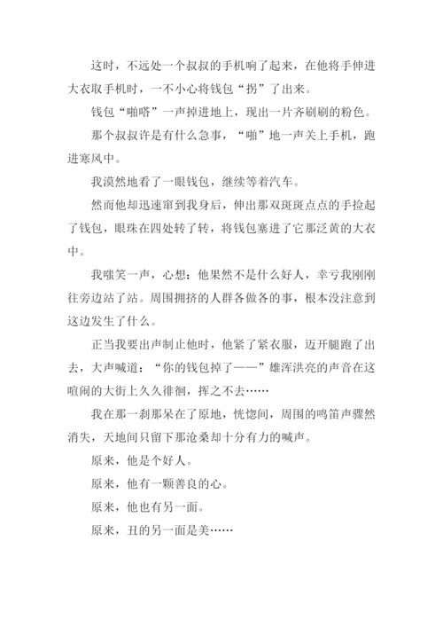 丑的另一面作文800字.docx