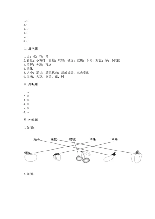 教科版科学一年级上册第一单元《植物》测试卷附完整答案（网校专用）.docx