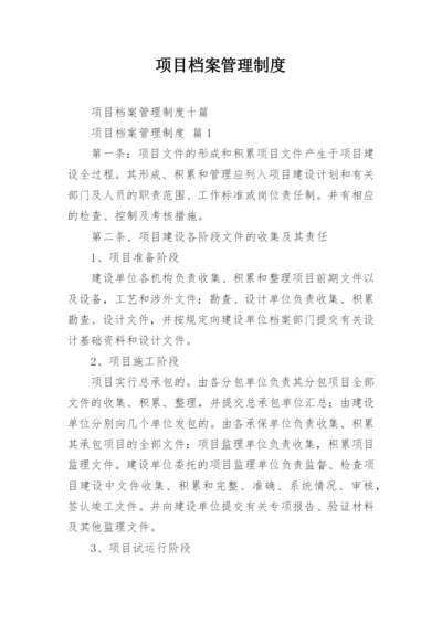 项目档案管理制度.docx