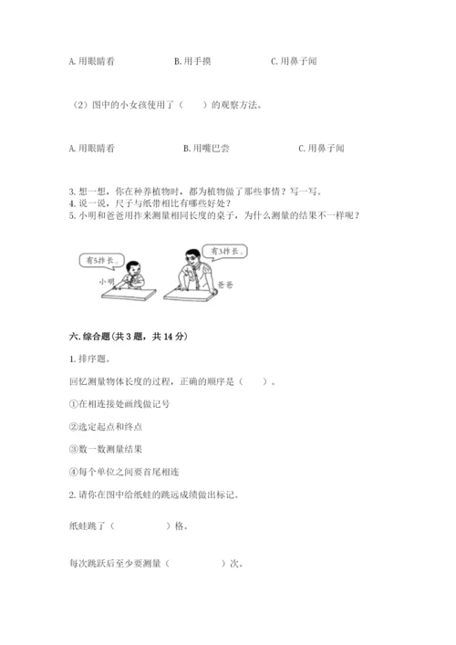 教科版一年级上册科学期末测试卷（网校专用）.docx