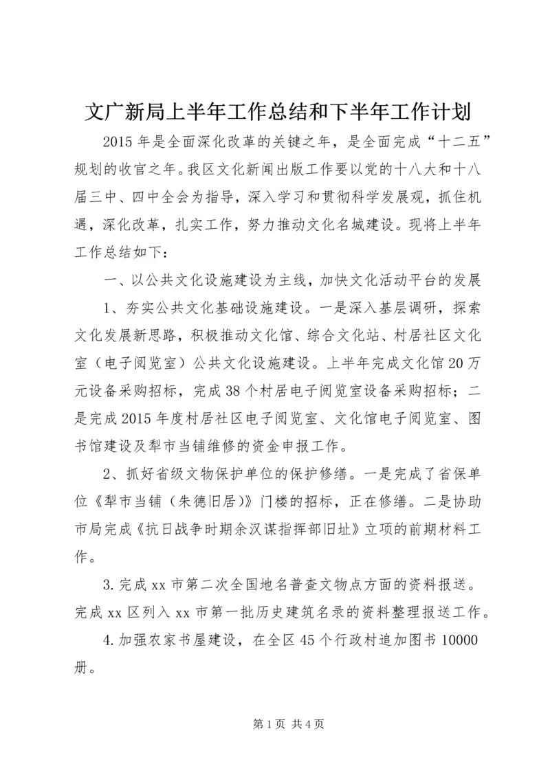 文广新局上半年工作总结和下半年工作计划.docx