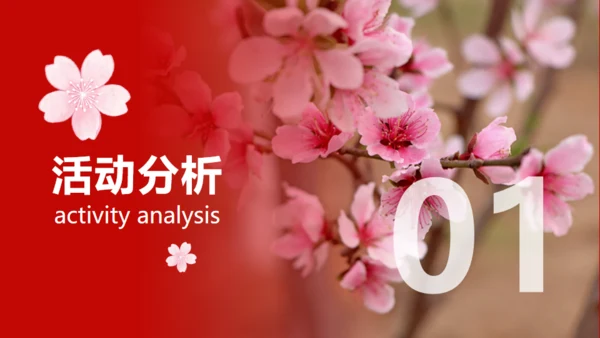 小镇桃花节策划方案通用PPT