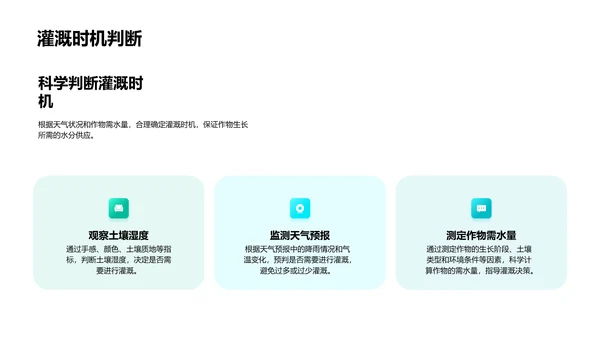 春分农事应对策略PPT模板