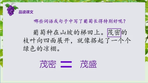 第11课《葡萄沟》课件