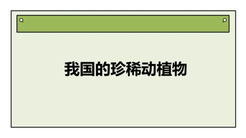人教版生物八上 6.2 认识生物的多样性(共38张PPT)