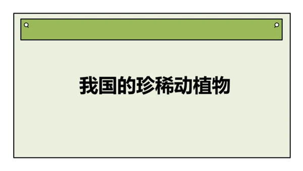 人教版生物八上 6.2 认识生物的多样性(共38张PPT)