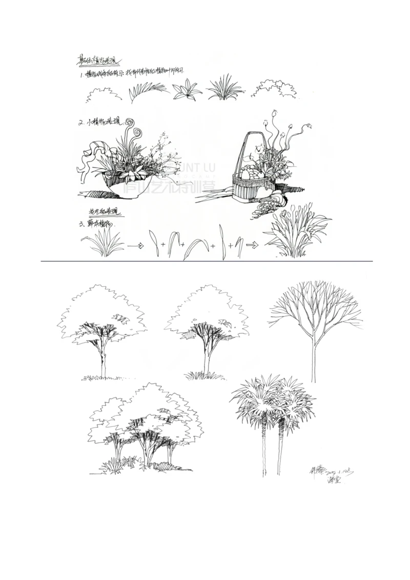 风景园林植物手绘技法.docx