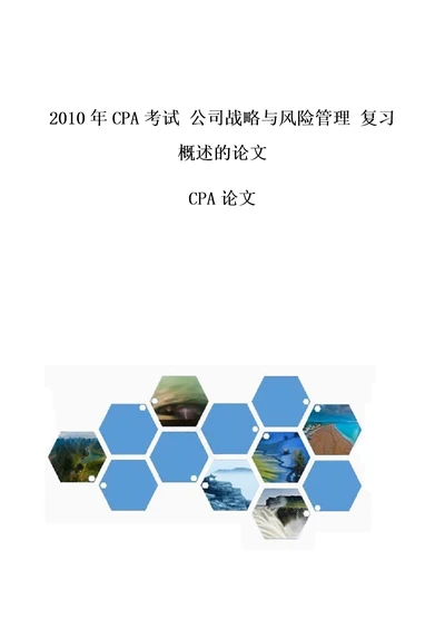 CPA考试公司战略与风险管理复习概述的论文CPA论文