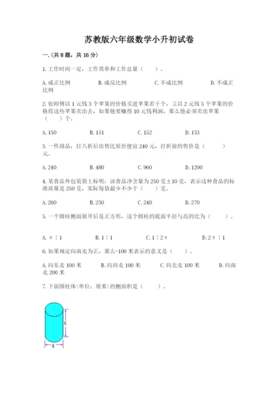 苏教版六年级数学小升初试卷（b卷）.docx