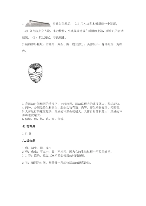 教科版小学科学三年级下册 期末测试卷word.docx
