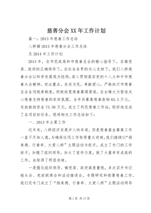 慈善分会XX年工作计划 (2).docx