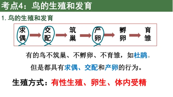 八下 第七单元复习课件(共58张PPT)