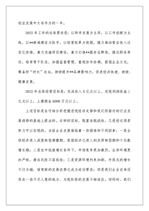 集团公司工作报告