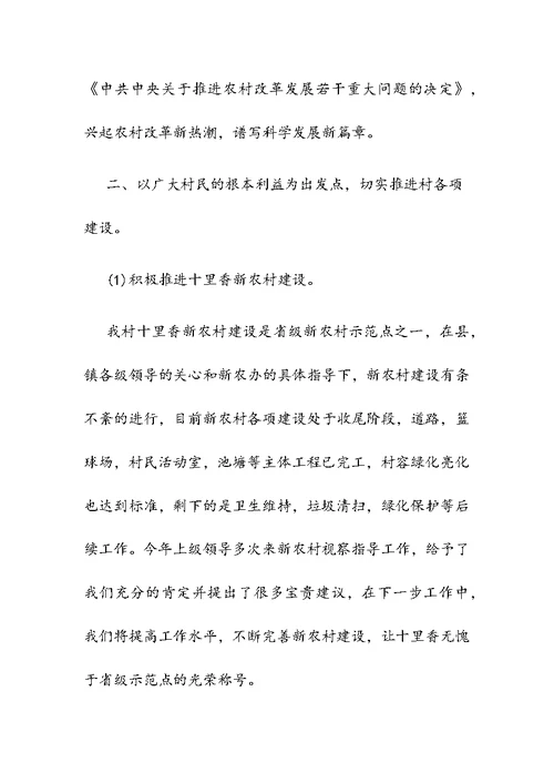 村党支部2019年度工作总结2篇合集