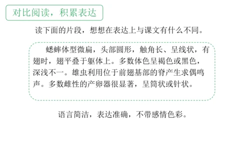 11 蟋蟀的住宅（课件）