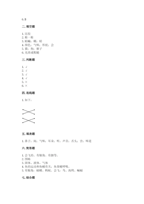教科版小学科学一年级下册期末测试卷审定版.docx