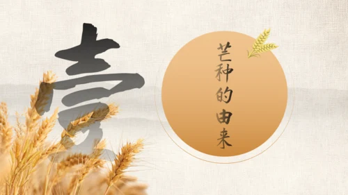 金色麦穗二十四节气之芒种通用PPT模板