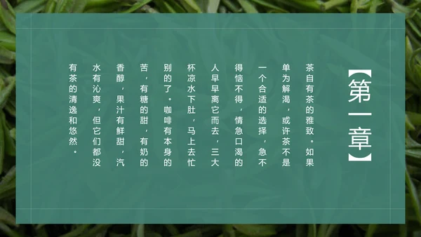 绿茶中国风茶道茶文化绿茶茶味通用PPT模板