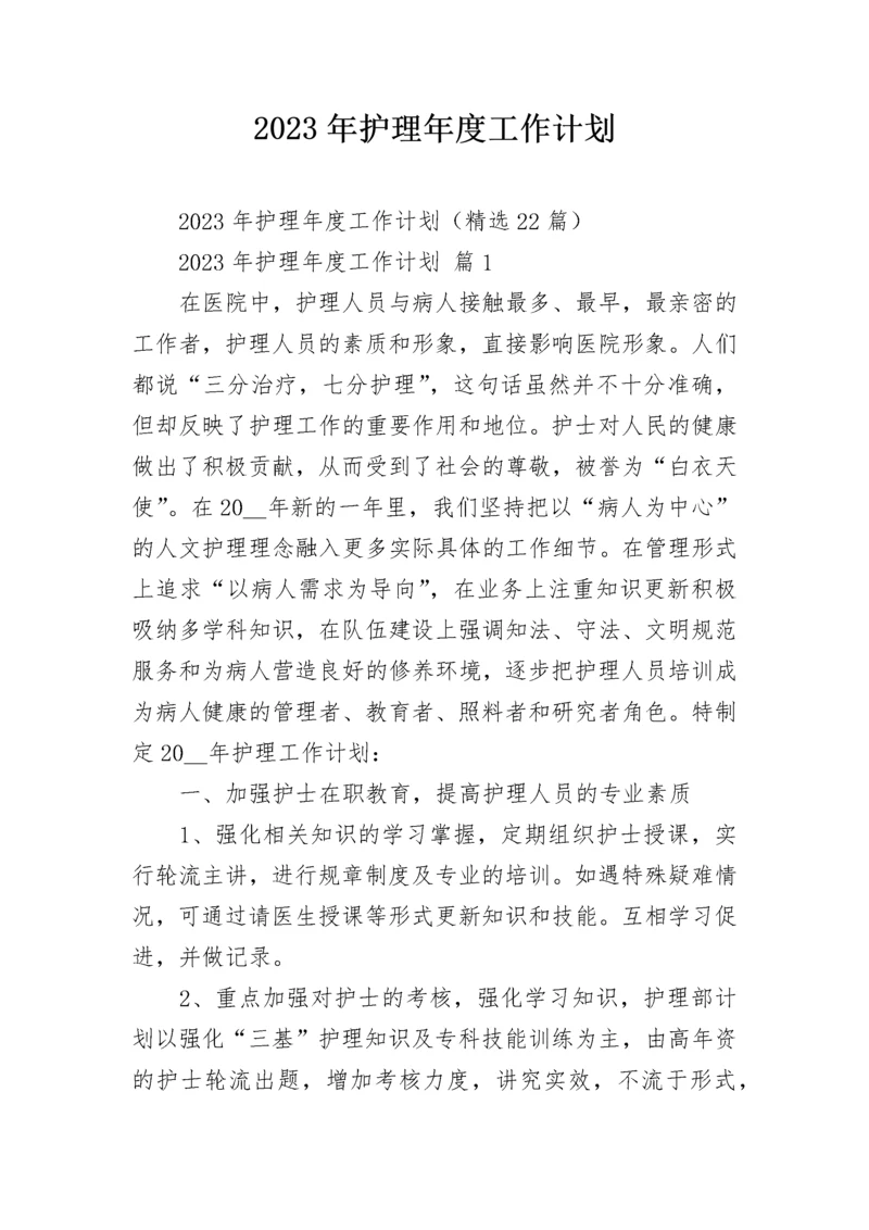 2023年护理年度工作计划.docx
