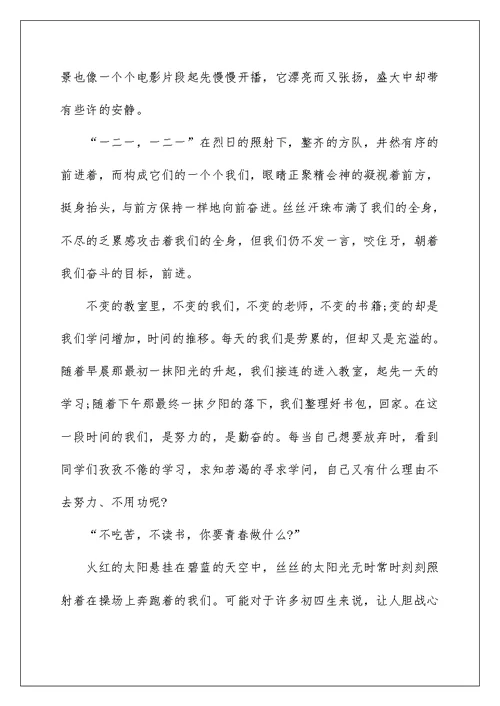 关于青年拼搏的作文800字4篇