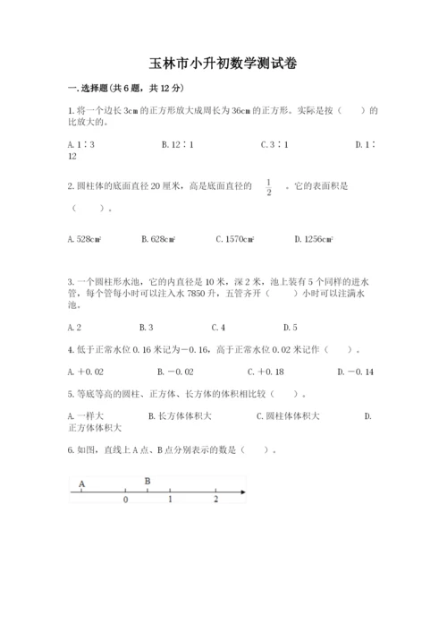 玉林市小升初数学测试卷汇编.docx