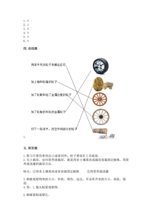 苏教版一年级上册科学期末测试卷（完整版）.docx