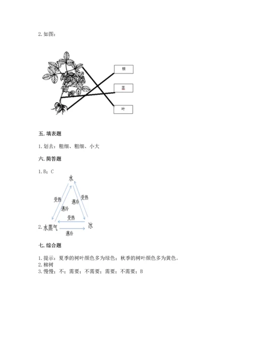 教科版科学一年级上册第一单元《植物》测试卷含答案【轻巧夺冠】.docx