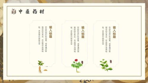 棕色褐色复古插画传统中医通用PPT模板
