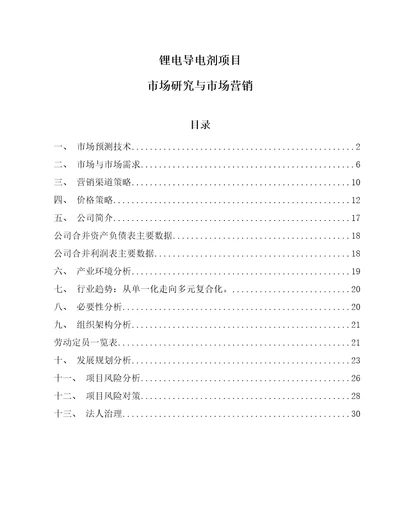 锂电导电剂项目市场研究与市场营销范文