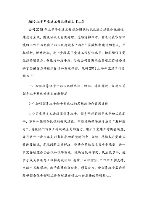 2019上半年党建工作总结范文2篇