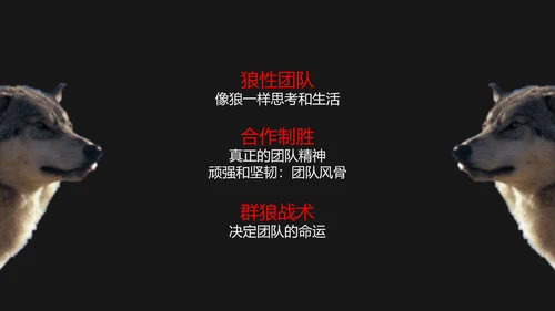 狼性文化教学企业团队培训PPT课件