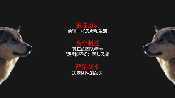 狼性文化教学企业团队培训PPT课件