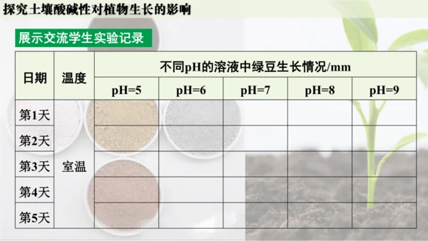 跨学科实践活动9  探究土壤酸碱性对植物生长的影响课件(共33张PPT)