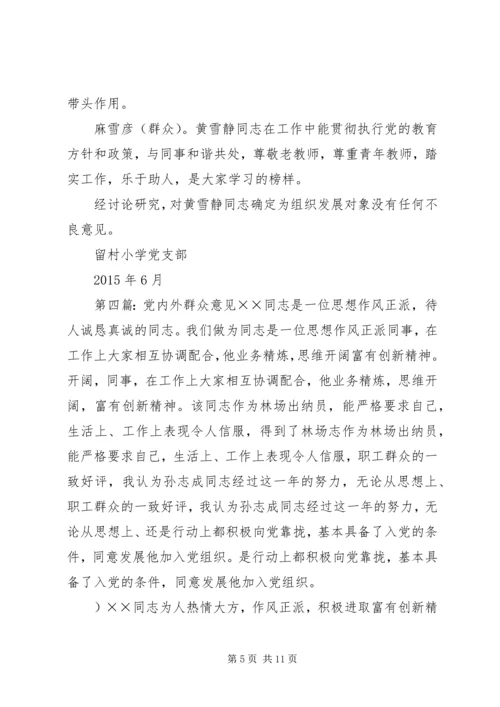 党内外群众意见.docx