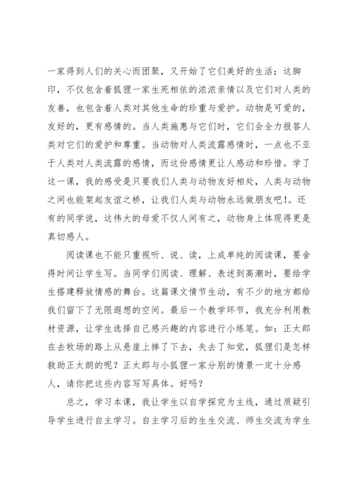 金色的脚印教学反思.docx