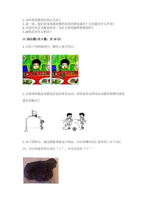 教科版二年级下册科学期末测试卷含答案（轻巧夺冠）.docx