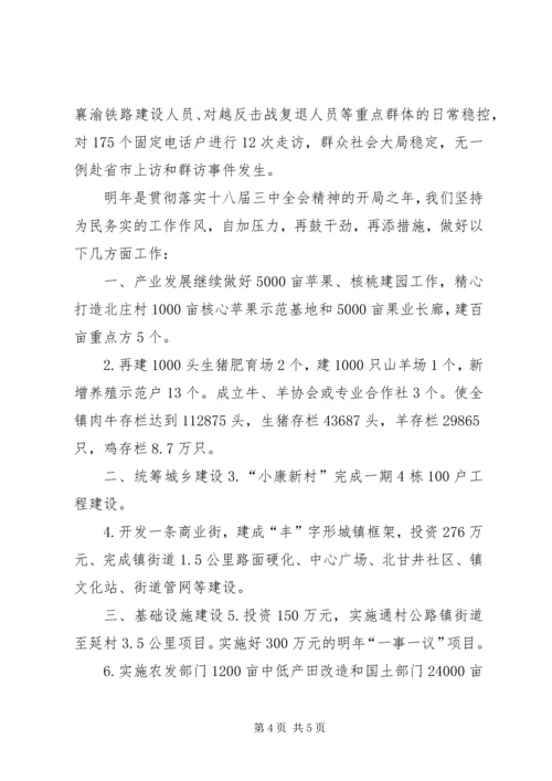 乡镇社会经济工作总结及工作要点.docx