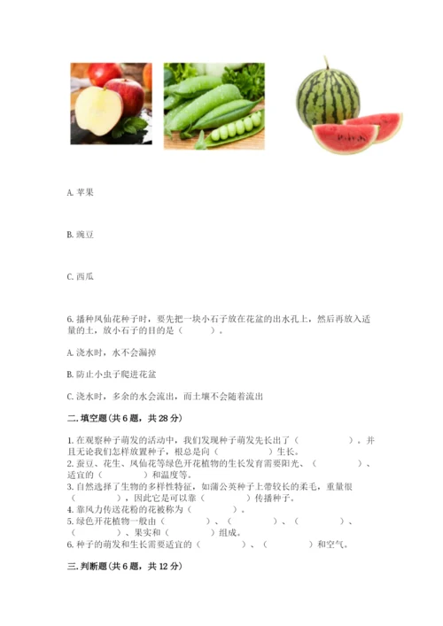 科学四年级下册第一单元《植物的生长变化》测试卷及完整答案（典优）.docx