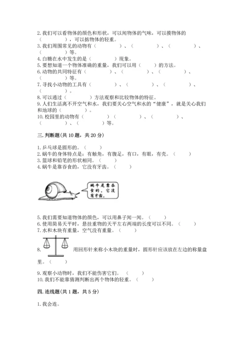 教科版一年级下册科学期末测试卷精品（综合题）.docx