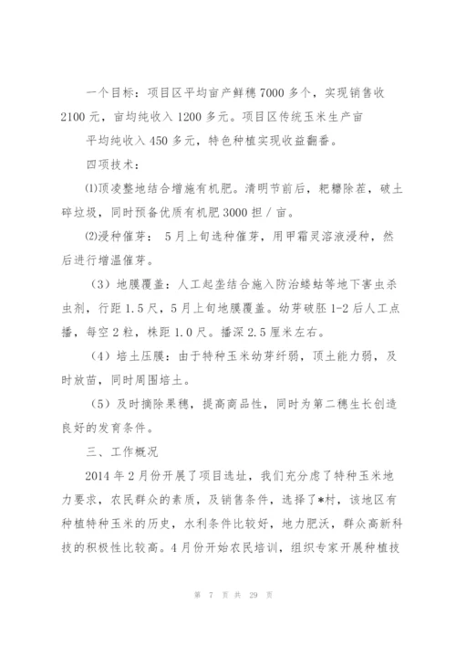 项目技术工作总结(多篇).docx