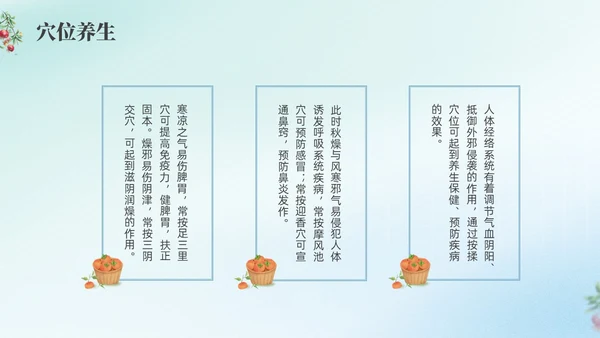 彩色弥撒寒露养生二十四节气PPT课件
