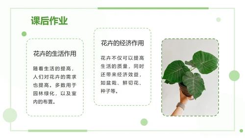 绿色清新教学课件ppt模板