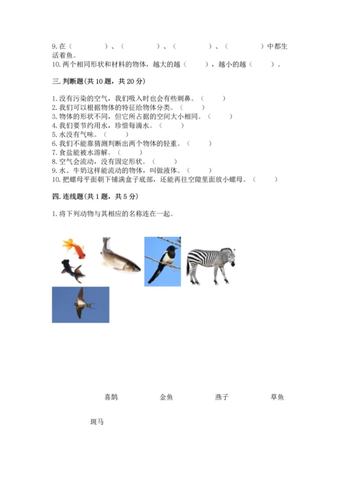 教科版一年级下册科学期末测试卷（基础题）.docx