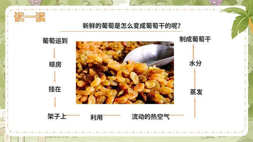 部编版语文二年级上册第十一课《葡萄沟》课件