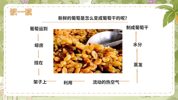 部编版语文二年级上册第十一课《葡萄沟》课件