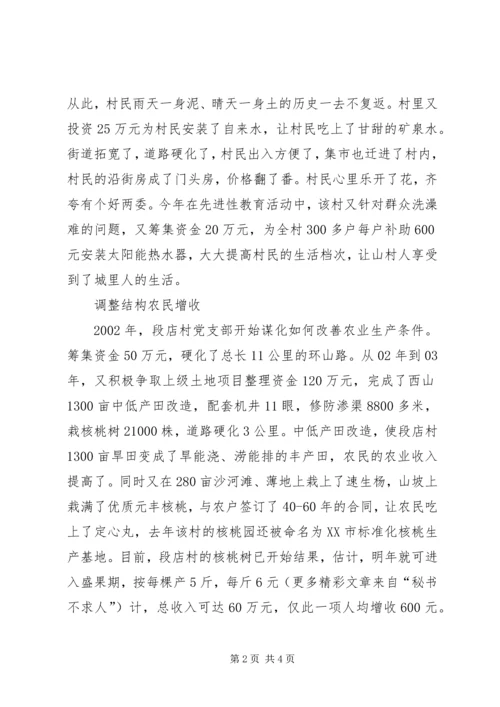 村党支部典型材料 (2).docx